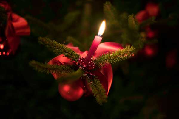 Advent in the Stubai Valley - Winter magic at the Gasteigerhof