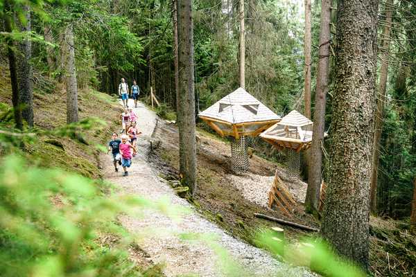 Das Kinderparadies für Groß und Klein: Baumhaus- und Scheibenweg