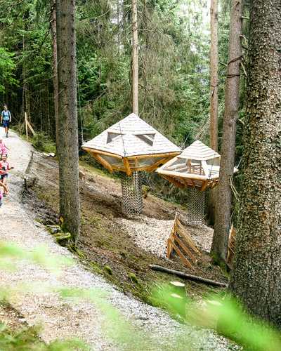 The children's paradise for young and old: tree house and disc path