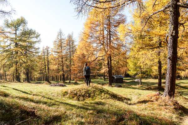 7=6 Herbstzauber im Stubaital