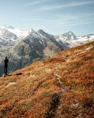 The golden autumn in the Stubaital