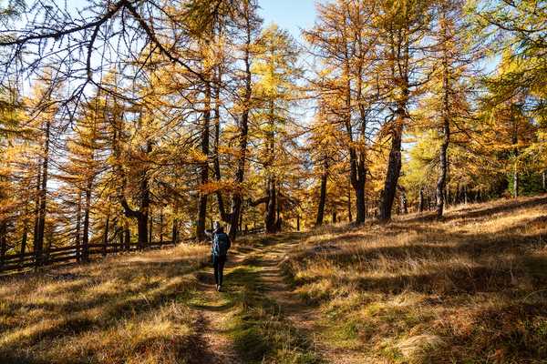 Herbst im Stubaital