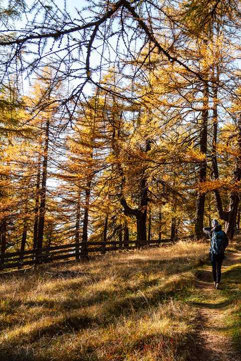 Herbst im Stubaital
